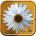 The Flower Puzzle HD