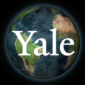 Yale Global Perspectives